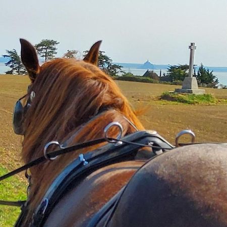 Chez Jollyjune, A Moins D'Une Heure Du Mont Saint Michel Champeaux Exterior foto