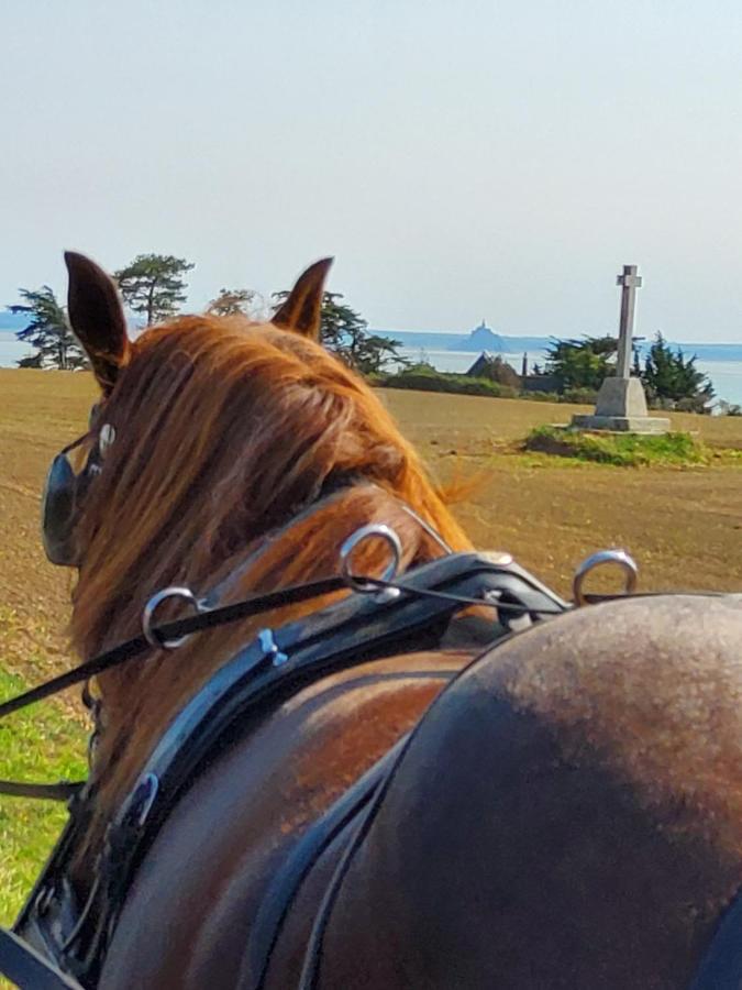 Chez Jollyjune, A Moins D'Une Heure Du Mont Saint Michel Champeaux Exterior foto